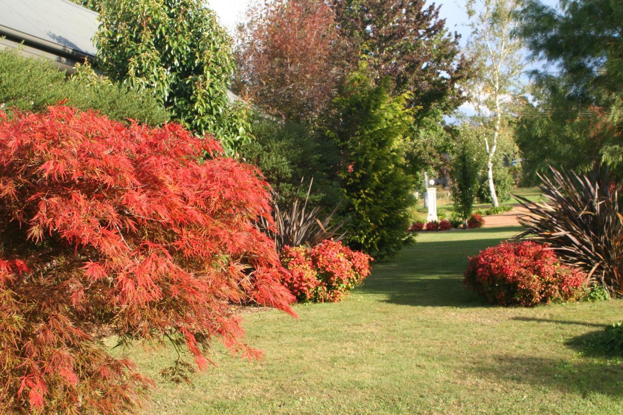 Delderfield Cottages Marysville Buitenkant foto