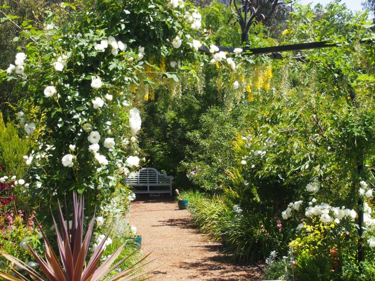 Delderfield Cottages Marysville Buitenkant foto