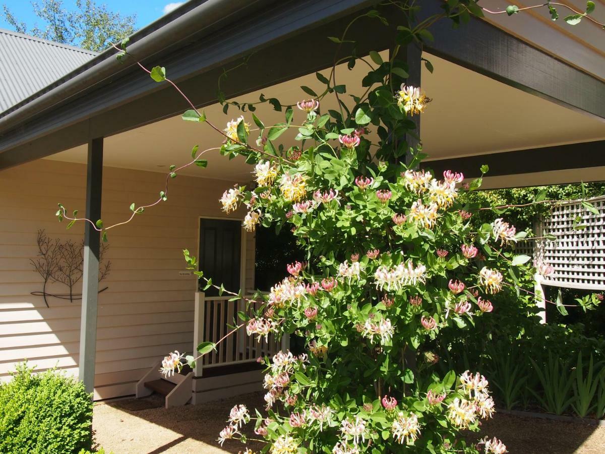 Delderfield Cottages Marysville Buitenkant foto